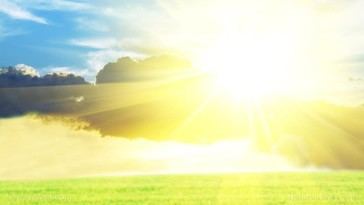 USDA detiene proyectos solares en tierras agrícolas para salvaguardar la seguridad alimentaria