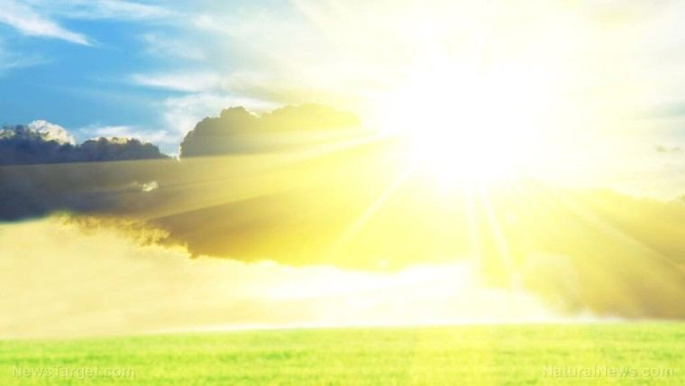 USDA detiene proyectos solares en tierras agrícolas para salvaguardar la seguridad alimentaria