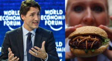 Canadá comienza a reemplazar la carne por insectos