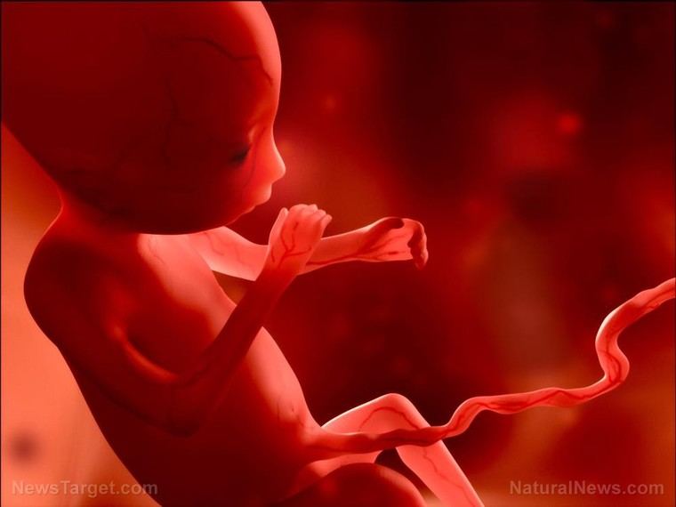 CDC's vaccine recommendations for pregnant women raise serious safety concerns