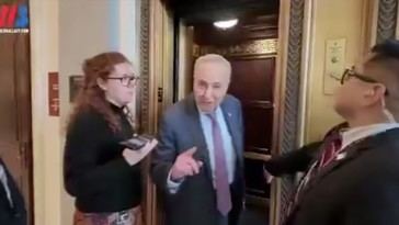 Schumer respalda ataques violentos contra Tesla y critica a Elon Musk