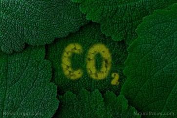 CO2 impulsa una revolución en la agricultura en invernaderos y descentraliza el suministro de alimentos