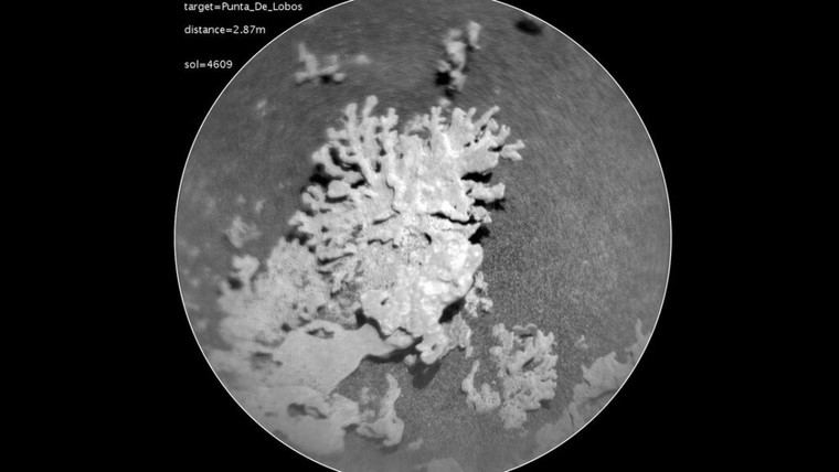 Descubren formación rocosa en Marte que se asemeja a un coral