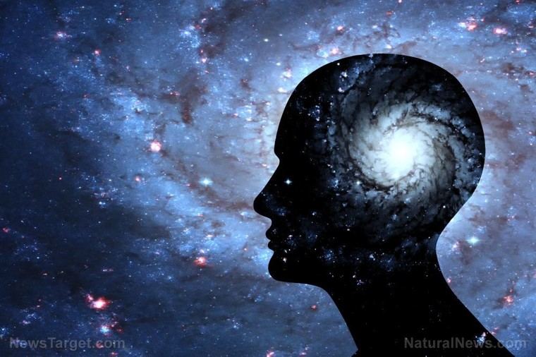 Nuevas pruebas sugieren que la conciencia humana podría estar ligada a procesos cuánticos en el cerebro