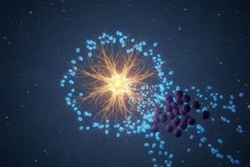 Estudio de UCLA sugiere que la creatina podría fortalecer el sistema inmunológico contra el cáncer