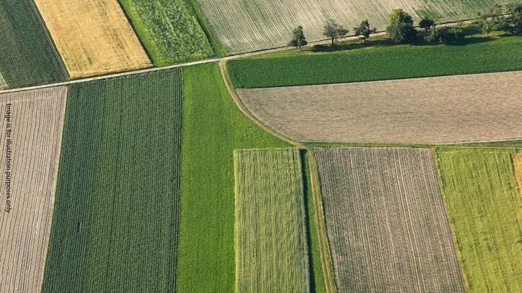 Seis personas acusadas en Croacia por fraude en subsidios agrícolas y lavado de dinero
