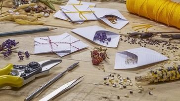 Aumentan envíos de semillas misteriosas desde China en Texas, generando alarmas de seguridad