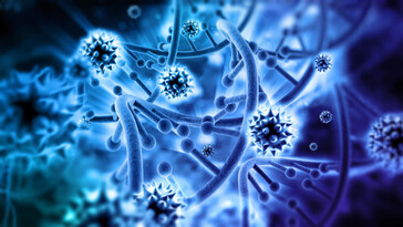 Identifican más de 11.000 virus desconocidos en el Pacífico