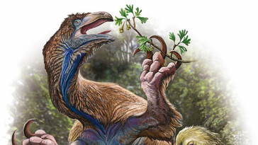 Descubren en China un nuevo dinosaurio gigante con garras impresionantes