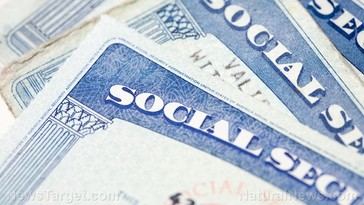 Fraude en la Seguridad Social: 12.3 millones de registros falsos y 2.1 millones de no ciudadanos en 2024