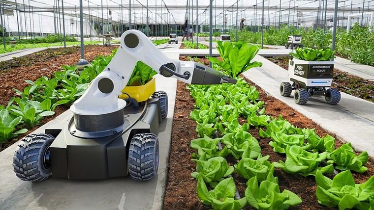 Doosan Robotics y Daedong se asocian para desarrollar robots agrícolas con inteligencia artificial