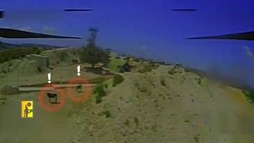 Dron de Hezbolá se distrae con vacas durante misión militar
