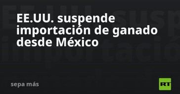 EE.UU. detiene la importación de ganado mexicano