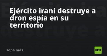 Irán destruye un dron espía en su territorio