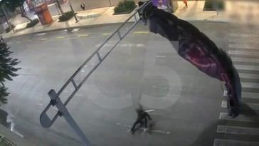 Paracaidista queda atrapado en un semáforo tras un mal aterrizaje