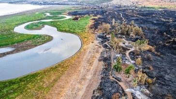 Incendio en Galilea revela ruinas de la ciudad bíblica de Betsaida, cuna de tres apóstoles
