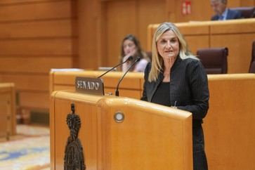 El PP denuncia falta de transparencia del Gobierno en fondos europeos tras casos de Plus Ultra y Tubos Reunidos