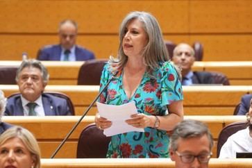 El PP sostiene que el respeto a las instituciones no contradice la libertad de expresión