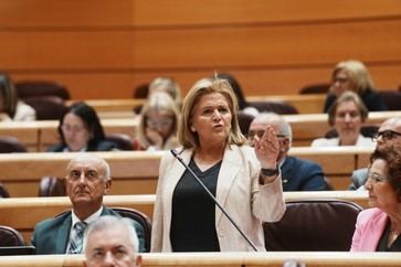 El PP critica la obligatoriedad de la baliza V16 por su legalidad y eficacia cuestionadas