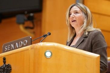 El PP exige la comparecencia del ministro de Economía por el alto costo de la Navidad