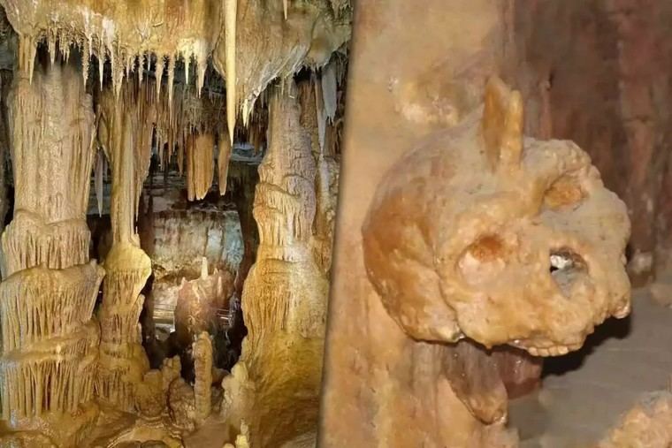 Descubren cráneo de 300.000 años en Grecia que desafía clasificación humana