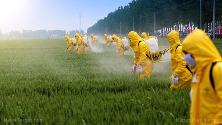 EPA busca reautorizar herbicida dicamba, prohibido por riesgos a la salud