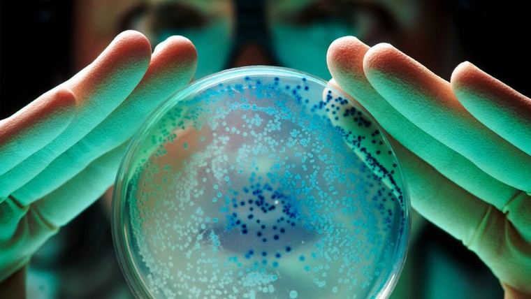 Un gen resistente a antibióticos se propaga globalmente entre bacterias peligrosas