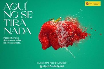 España aprueba una ley para combatir el desperdicio de alimentos