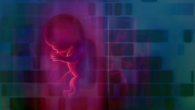 Microplásticos: un riesgo oculto para la salud fetal durante el embarazo