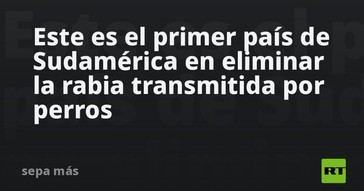 Chile se convierte en el primer país sudamericano en erradicar la rabia canina