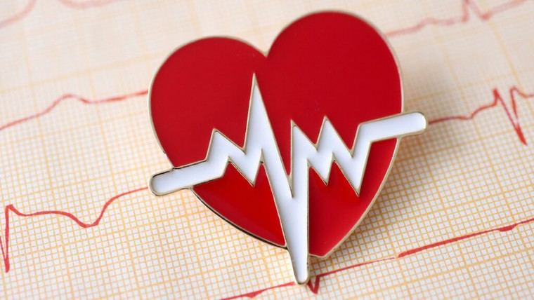 Descubren proteína que podría reducir arritmias tras infarto cardíaco