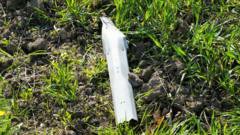 Caza de la OTAN derriba dron en territorio estonio