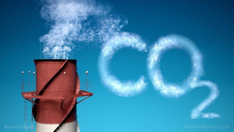 ETH Zurich presenta un innovador material fotosintético que captura CO2 y se utiliza en construcción