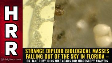 Investigación revela contaminantes biológicos desconocidos en el aire de Florida