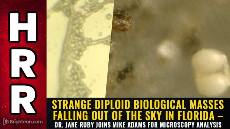 Investigación revela contaminantes biológicos desconocidos en el aire de Florida
