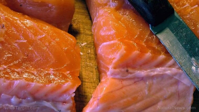FDA da luz verde a salmón cultivado en laboratorio, pero surgen preocupaciones de seguridad