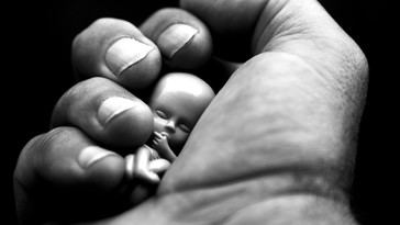 Juez federal anula regla de Trump que protegía a trabajadores de la salud pro-vida de realizar abortos