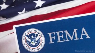 Escándalo en FEMA: Despiden a empleados por sexting con extranjeros en dispositivos gubernamentales