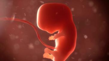 Científicos del Foro Económico Mundial anuncian la creación de embriones humanos cultivados en laboratorio sin óvulos ni esperma