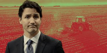 La guerra de Trudeau contra los agricultores dispara los precios de los alimentos