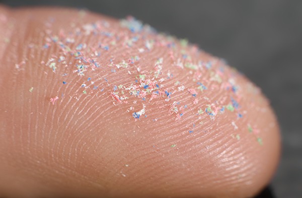 Microplásticos alteran la microbiota intestinal, vinculándose a cáncer y depresión