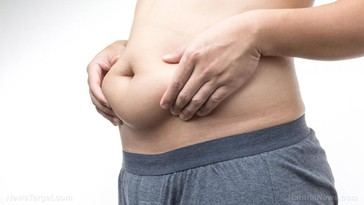 Estudio revela que la grasa visceral y la pérdida de músculo afectan la salud cerebral más que el peso corporal