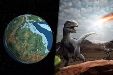 Fósiles marinos de Luisiana ofrecen pistas sobre la Tierra previa a la extinción de los dinosaurios