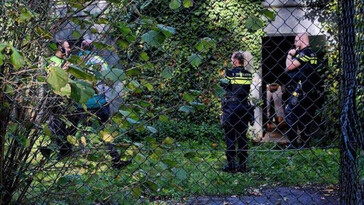 Fallece una cuidadora tras el ataque de un leopardo en un safari de Países Bajos