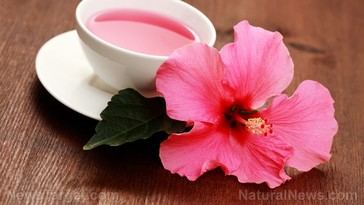 Hibiscus tea puede reducir la presión arterial como los medicamentos antihipertensivos