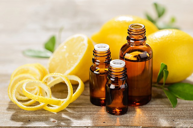Descubre 5 aceites esenciales que purifican el aire y mejoran tu estado de ánimo