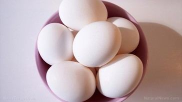 Leyes de bienestar animal en California enfrentan demanda federal por aumento en precios de huevos