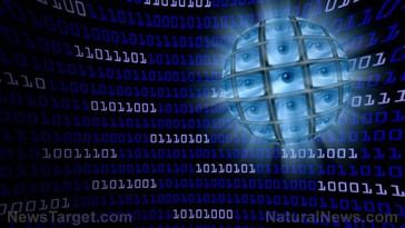 FTC permite a empresas eludir la protección de datos infantiles con nueva política de verificación de edad