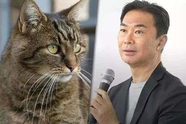 Tratamiento japonés busca prolongar la vida de los gatos, pero no garantiza 30 años