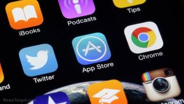 Alemania exige a Apple y Google retirar una app de IA china por preocupaciones de privacidad